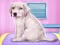 Игра Labrador at the doctor salon онлайн