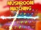 Игра Mushroom matching онлайн