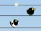 Игра Gone with the Birds онлайн