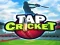 Игра Tap Cricket онлайн