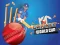 Игра Cricket World Cup Game онлайн