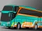 Игра Villager Bus Simulator онлайн