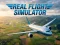 Игра Real Flight Simulator онлайн