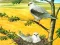 Игра Birds Of Prey Puzzle онлайн