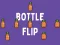 Игра Bottle Flip онлайн