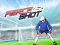 Игра Fierce Shot онлайн