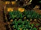 Игра Pixel Farm онлайн