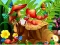 Игра Hidden Objects Insects онлайн