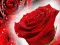 Игра Red Roses онлайн
