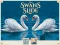 Игра Swans Slide онлайн