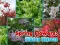 Игра Spring Flowers: Hidden Objects онлайн