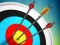 Игра Master Archery Shooting онлайн