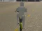 Игра Bicycle Simulator онлайн