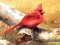 Игра Art Birds Puzzle онлайн