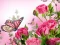 Игра Butterflies Puzzle онлайн
