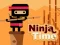 Игра Ninja Time онлайн