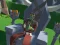 Игра Lazy Orcs: Arena онлайн