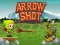 Игра Arrow Shoot онлайн