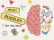 Игра Brain Puzzles Quests онлайн