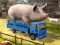 Игра Driver Master Simulator онлайн