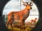 Игра Wild Animal Hunting онлайн