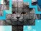 Игра PicPu Cat онлайн