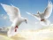 Игра Flying Birds онлайн