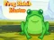 Игра Frog Match Master онлайн
