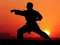 Игра Karate Sunset Warriors онлайн