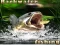 Игра Backwater Fishing онлайн