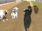 Игра Angry Bull Racing онлайн