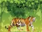 Игра Angry Tiger Coloring онлайн