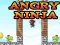 Игра Angry Ninja онлайн