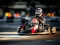 Игра Kart Karting онлайн