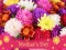 Игра 2019 Mother's Day Puzzle онлайн