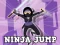 Игра Ninja Jump онлайн