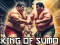 Игра King Of Sumo the ultimate brawl онлайн