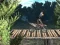 Игра Bike Trial Xtreme Forest онлайн