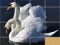 Игра Animals Slide Puzzle онлайн