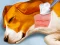 Игра Dog Hospital онлайн