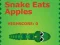 Игра Snake Eats Apples онлайн