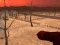 Игра Wasteland Shooters онлайн