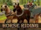 Игра Horse Riding Simulator онлайн