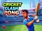Игра Cricket Clash Pong онлайн