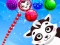 Игра Raccoon Rescue онлайн