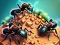 Игра Ant Colony онлайн