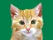 Игра Idle Painter онлайн