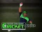 Игра Cricket Fielder Challenge онлайн