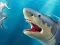 Игра Shark Hunting онлайн