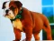 Игра Bulldog Puppy Puzzle онлайн